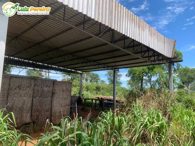 Venda em VILA SÃO FRANCISCO - Ribas do Rio Pardo