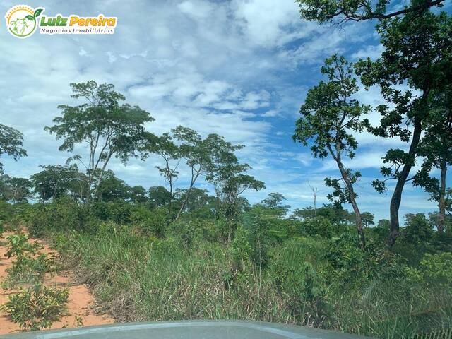 Fazenda para Venda em Ribas do Rio Pardo - 5