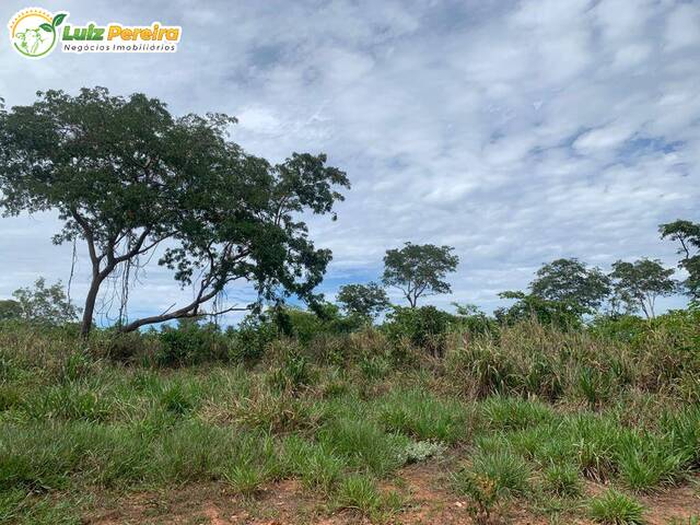 Fazenda para Venda em Ribas do Rio Pardo - 4