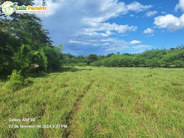 Fazenda para Venda em Bodoquena - 4