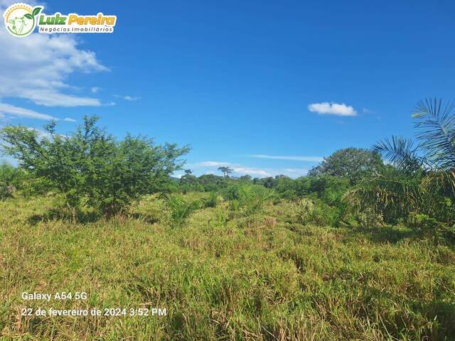 Fazenda para Venda em Bodoquena - 5