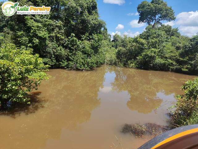 #2915 - Fazenda para Venda em Abreulândia - TO