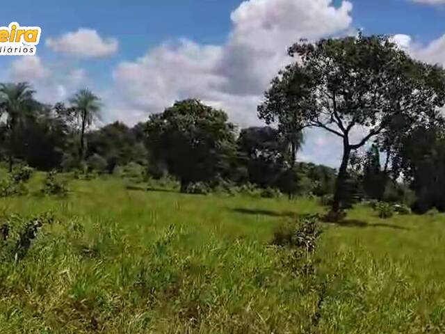 Fazenda para Venda em Abreulândia - 5