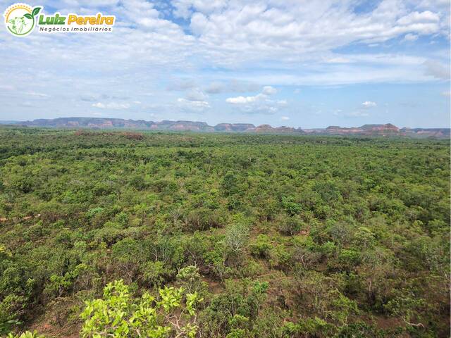 #2916 - Fazenda para Venda em Recursolândia - TO - 1