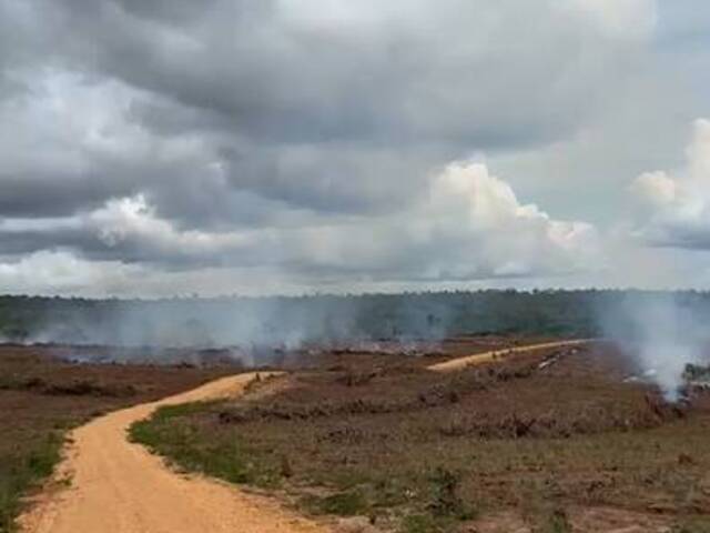 Fazenda para Venda em Darcinópolis - 4