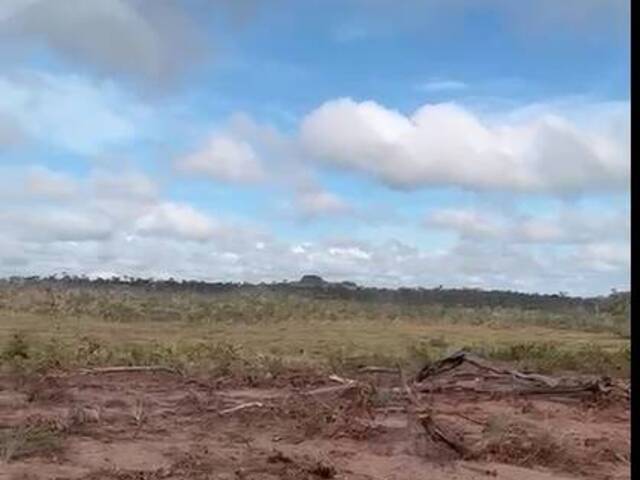 Fazenda para Venda em Darcinópolis - 5