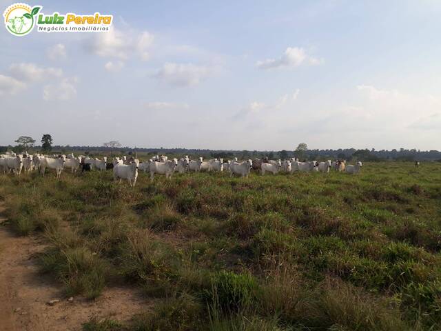Venda em Palmares - Tucuruí