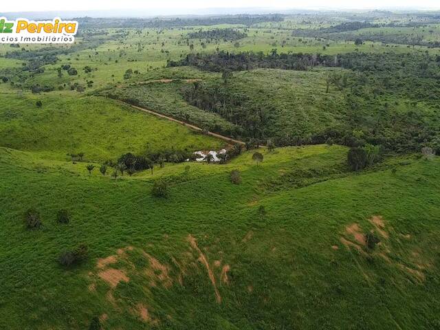 Fazenda para Venda em Marabá - 4