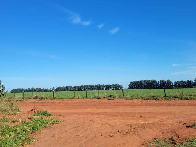Chácara para Venda em Rio Verde de Mato Grosso - 5