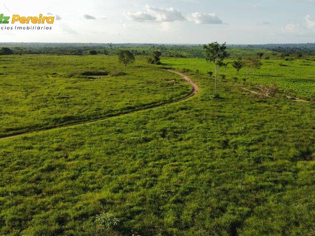Fazenda para Venda em Pedro Gomes - 5