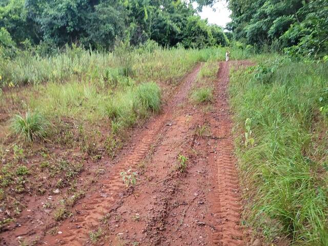 Venda em Boiadeiro - Alto Araguaia