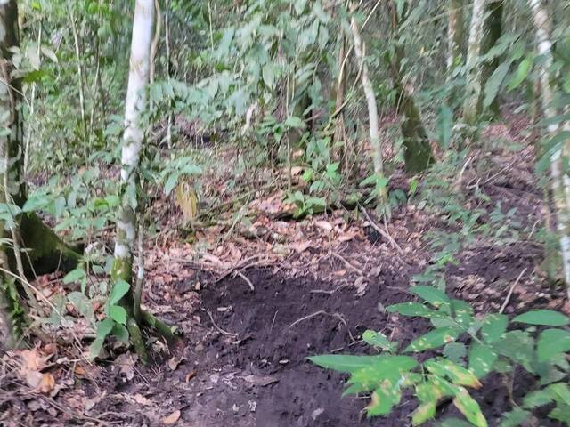 #2922 - Fazenda para Venda em Alto Araguaia - MT - 3