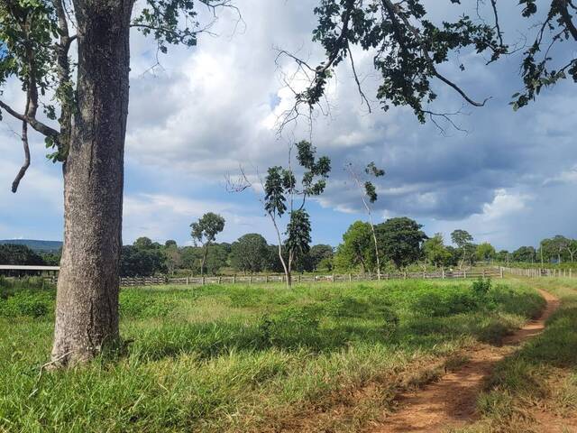 Fazenda para Venda em Alto Araguaia - 5
