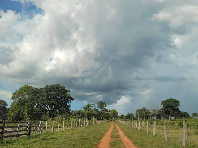 #2922 - Fazenda para Venda em Alto Araguaia - MT - 2