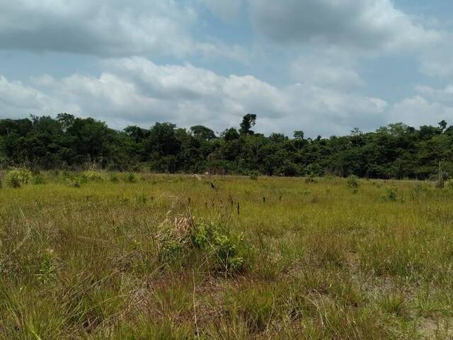 Fazenda para Venda em Baião - 5