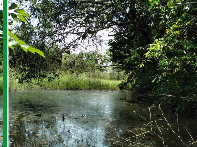 #2923 - Fazenda para Venda em Baião - PA