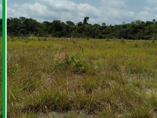 Fazenda para Venda em Baião - 4