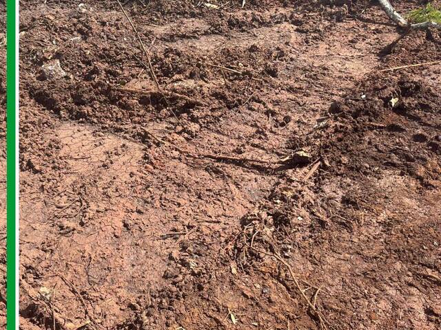 Fazenda para Venda em Miranda - 5