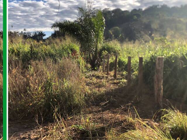 #2925 - Fazenda para Venda em Cumaru do Norte - PA - 2