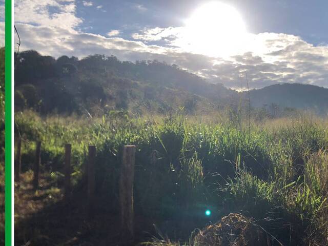 #2925 - Fazenda para Venda em Cumaru do Norte - PA - 3