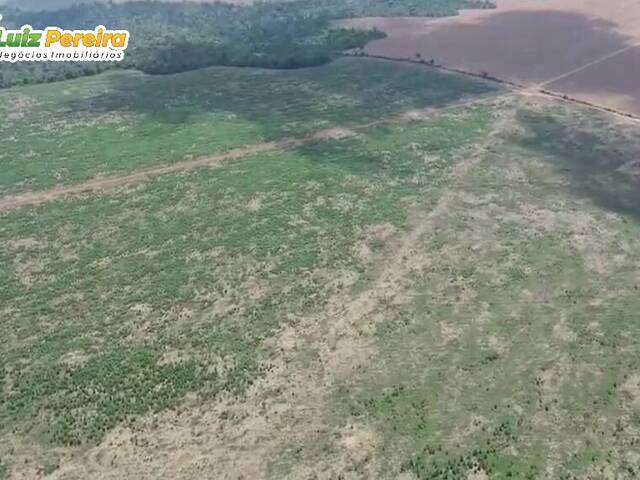 #2927 - Fazenda para Venda em Açailândia - MA - 3