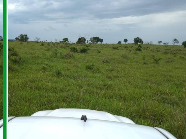 Fazenda para Venda em Pedro Gomes - 4