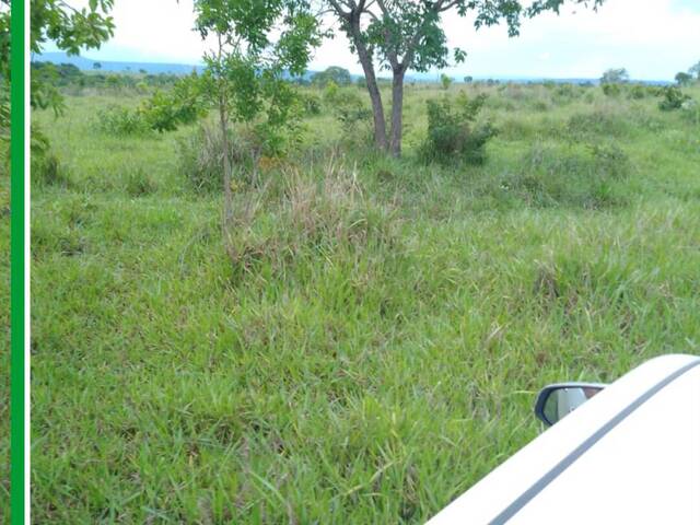 Fazenda para Venda em Pedro Gomes - 5