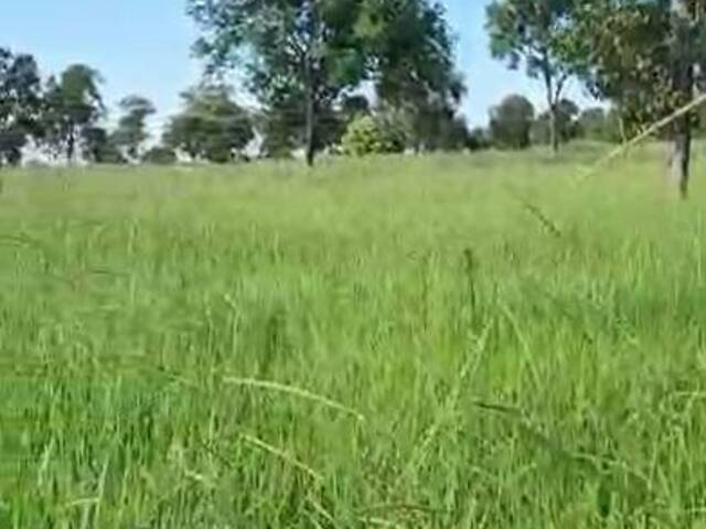 Fazenda para Venda em Inocência - 4