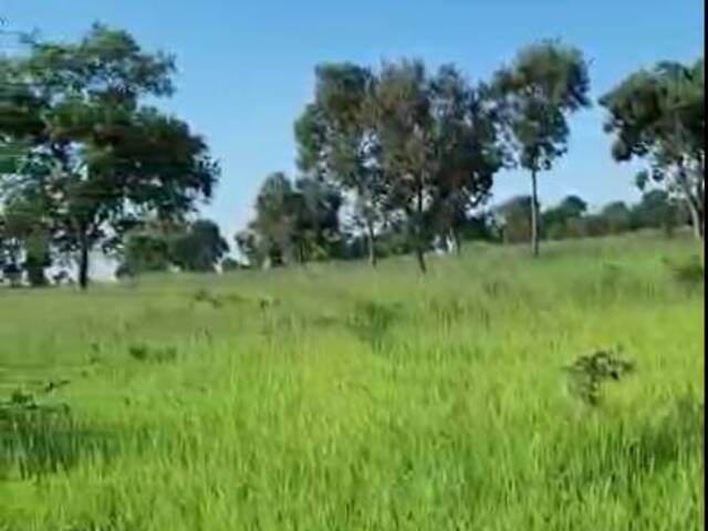 Fazenda para Venda em Inocência - 5