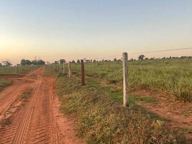 Fazenda para Venda em Nova Andradina - 5