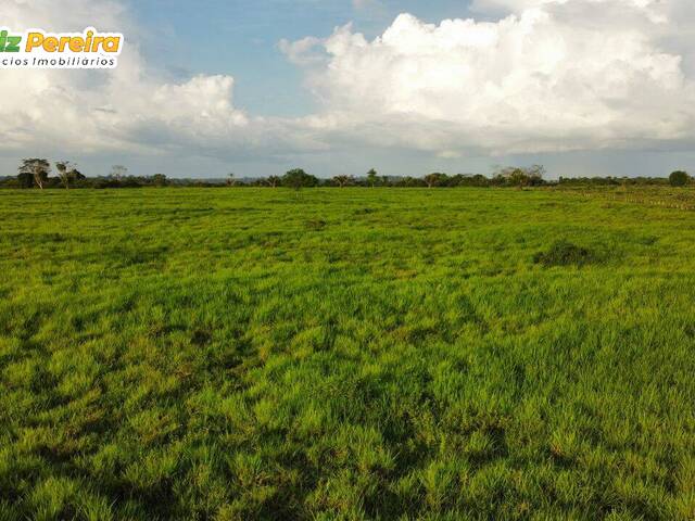 Fazenda para Venda em Breu Branco - 5