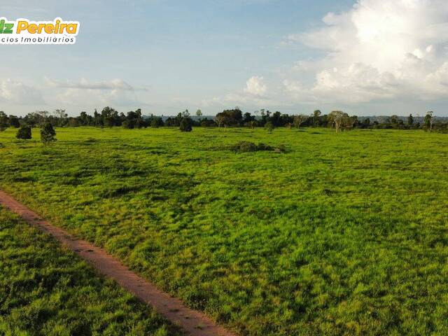 #2932 - Fazenda para Venda em Breu Branco - PA - 3