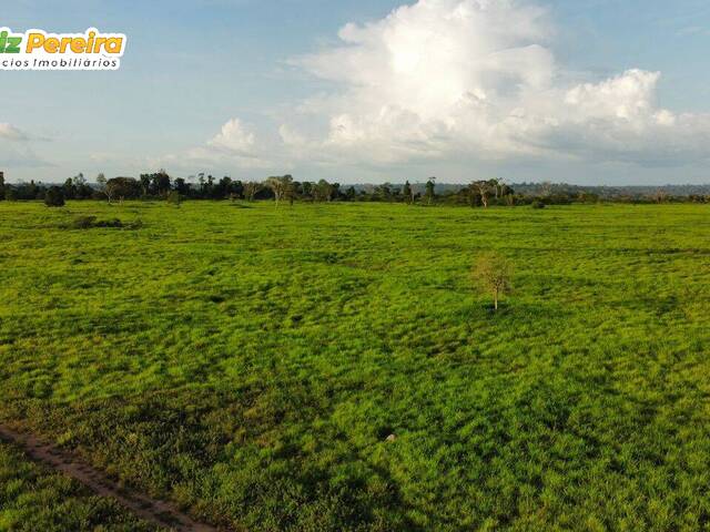 Fazenda para Venda em Breu Branco - 4