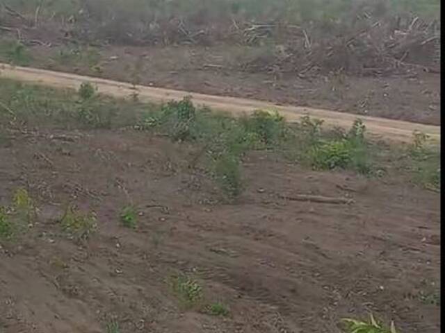 Fazenda para Venda em Tailândia - 5