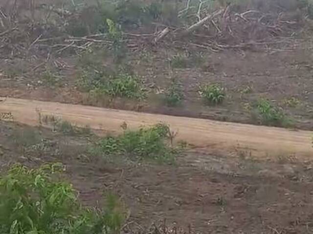 Fazenda para Venda em Tailândia - 4