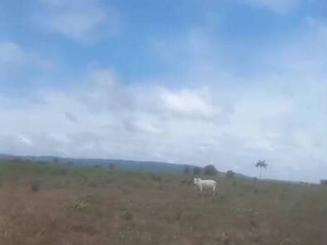 Fazenda para Venda em Xinguara - 5