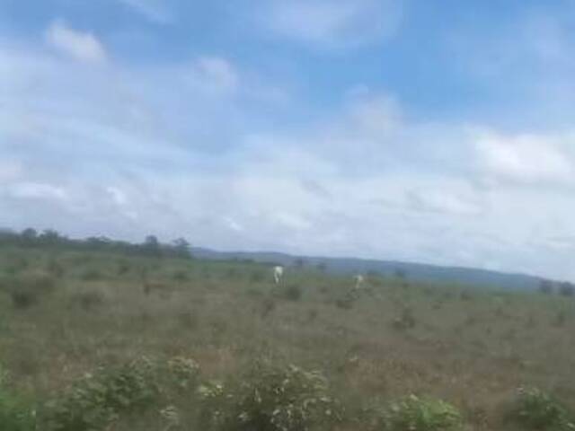Fazenda para Venda em Xinguara - 4
