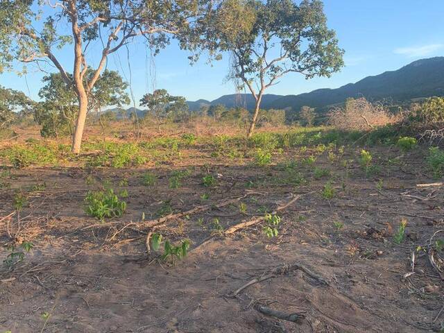 #2935 - Fazenda para Venda em São Salvador do Tocantins - TO - 2