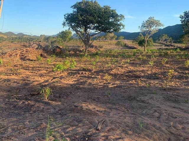 #2935 - Fazenda para Venda em São Salvador do Tocantins - TO - 3