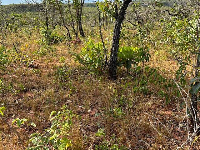Fazenda para Venda em Alto Parnaíba - 4