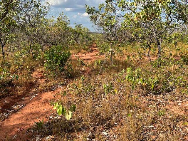 #2936 - Fazenda para Venda em Alto Parnaíba - MA - 1
