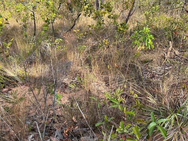 #2936 - Fazenda para Venda em Alto Parnaíba - MA - 2
