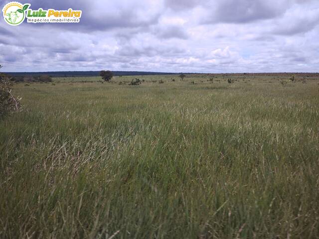 Fazenda para Venda em São Gabriel do Oeste - 4