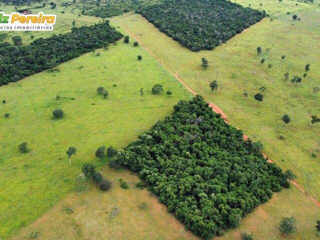 Fazenda para Venda em Caçu - 4