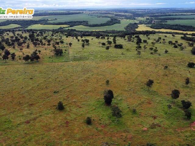 Fazenda para Venda em Caçu - 5
