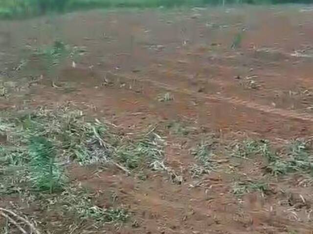 Fazenda para Venda em Lajeado Novo - 5