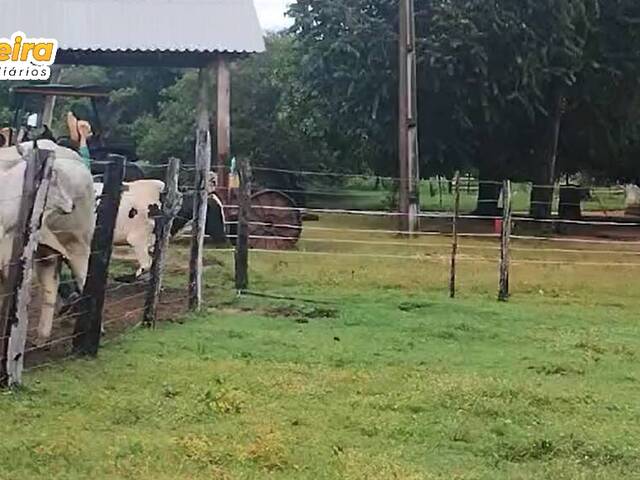 Fazenda para Venda em Lajeado Novo - 4