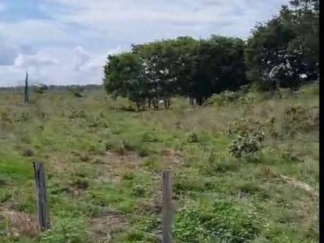 Fazenda para Venda em Goianésia do Pará - 4
