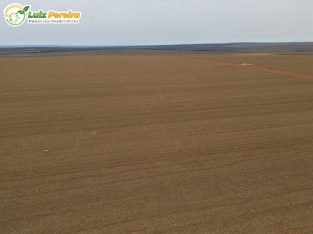 Fazenda para Venda em Campo Novo do Parecis - 4