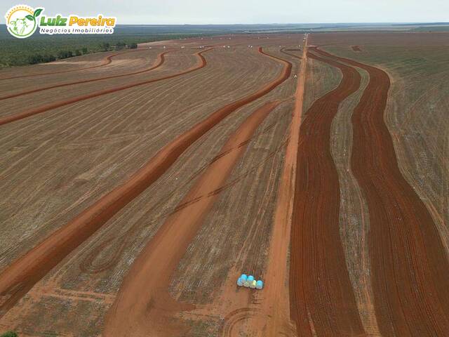 #2942 - Fazenda para Venda em Campo Novo do Parecis - MT - 3